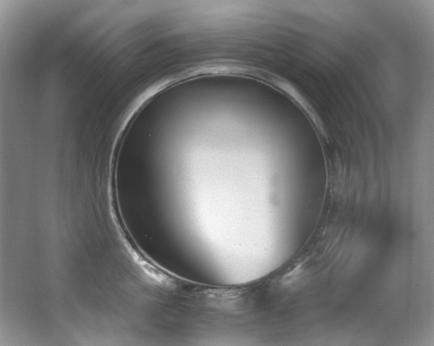 X0000062650861200512211229