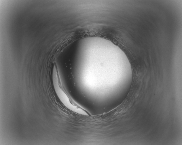 X0000062650865200512211228