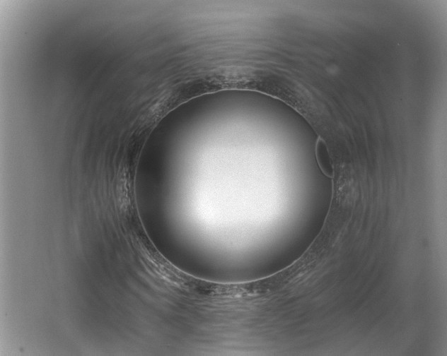 X0000062650866200512211228