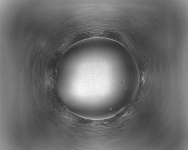 X0000062650867200512211228