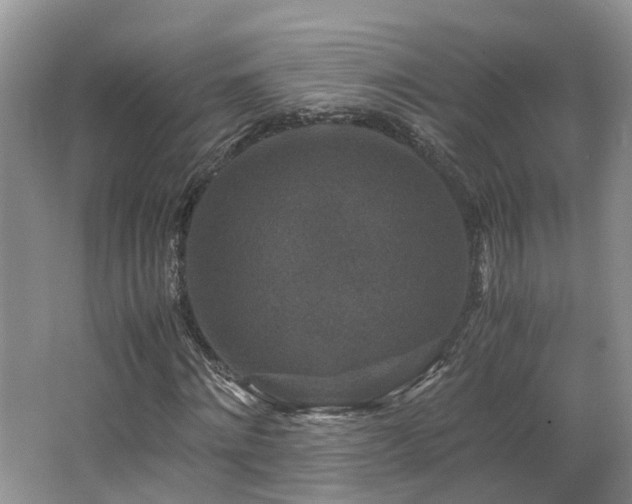X0000062650868200512211228