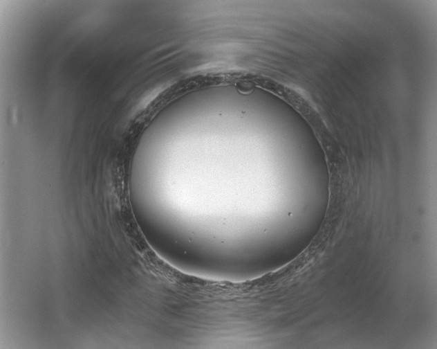 X0000062650871200512211228