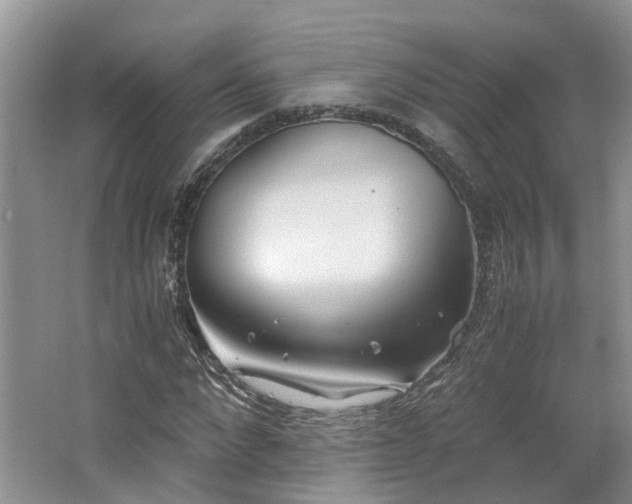 X0000062650872200512211228