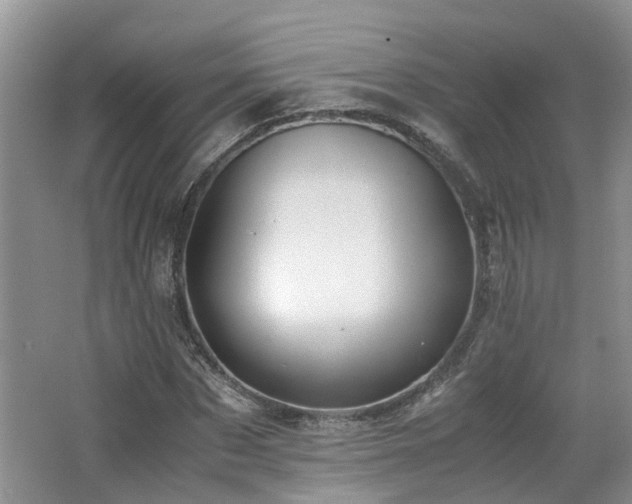 X0000062650873200512211228