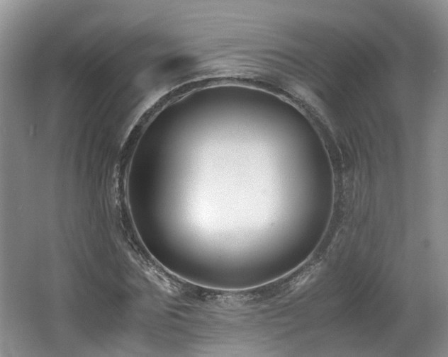X0000062650875200512211228