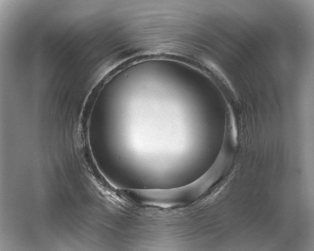 X0000062650876200512211228