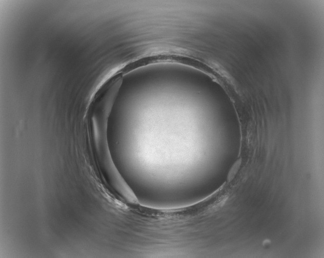 X0000062650877200512211228