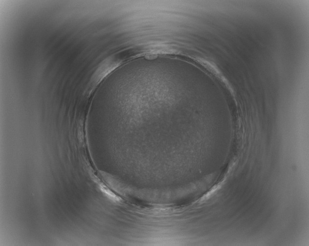 X0000062650889200512211228