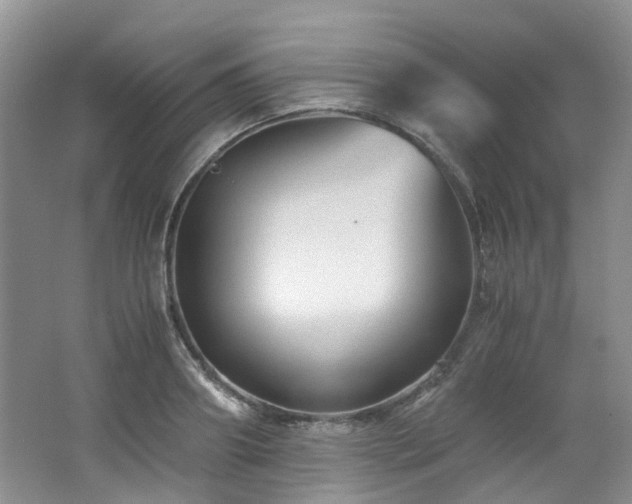 X0000062650890200512211228