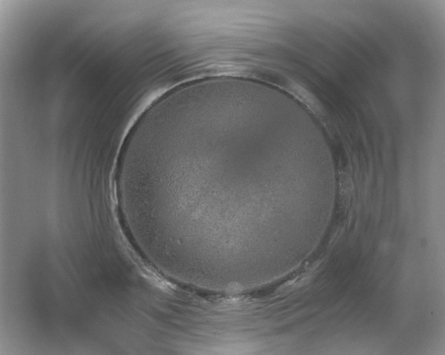 X0000062650891200512211228