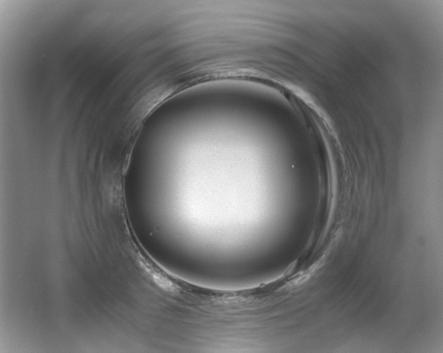 X0000062650897200512211228