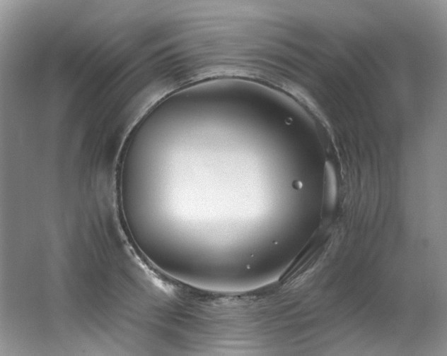 X0000062650898200512211228