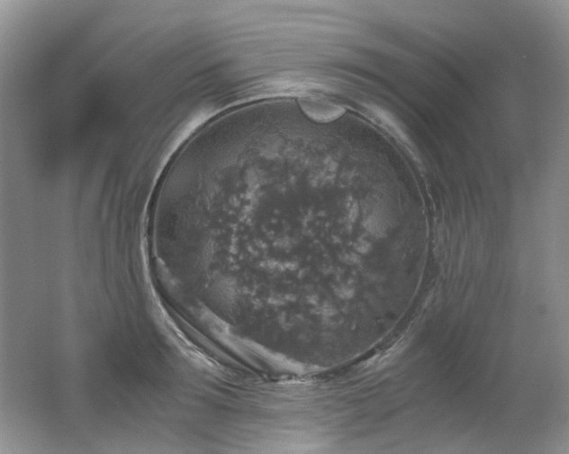X0000062650899200512211228