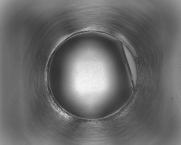 X0000062650900200512211228