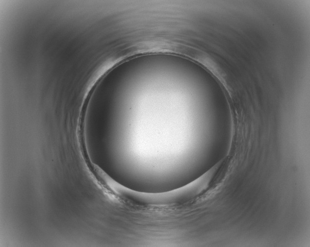 X0000062650901200512211228