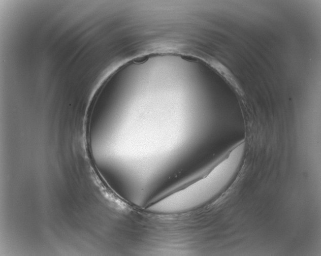 X0000062650904200512211228