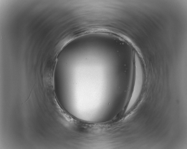 X0000062650905200512211228