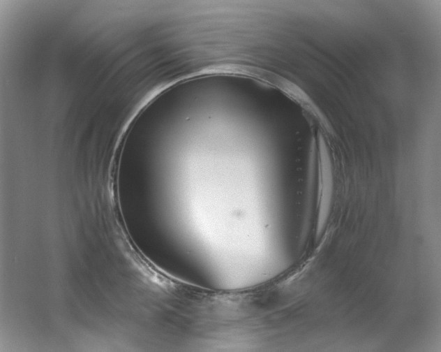 X0000062650908200512211228