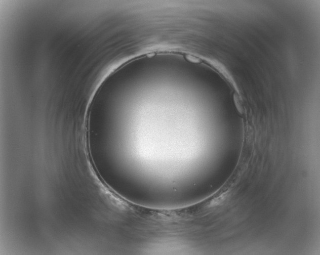 X0000062650911200512211228