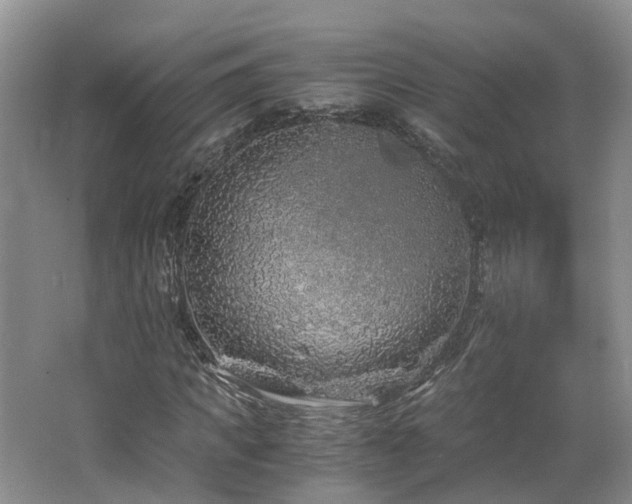 X0000062650917200512211227