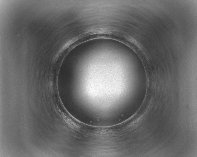 X0000062650922200512211227