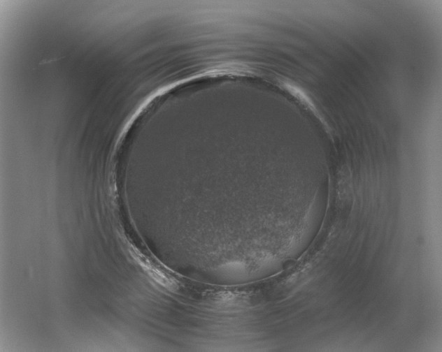 X0000062650923200512211227