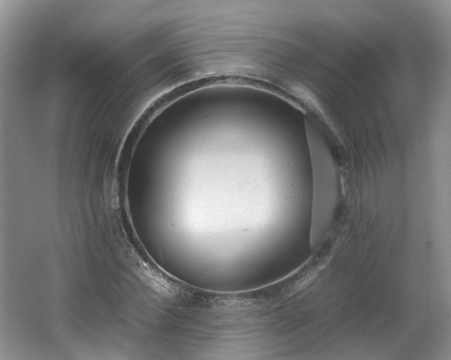 X0000062650924200512211227