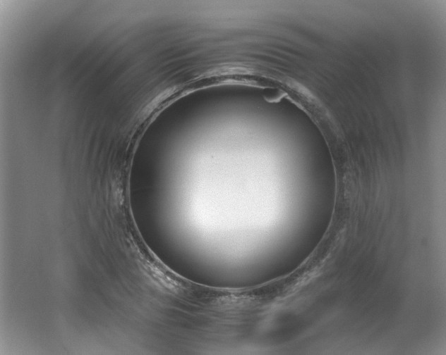 X0000062650929200512211227