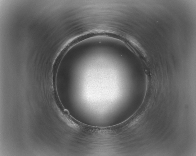 X0000062650934200512211227