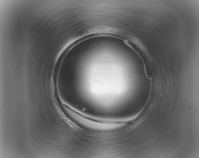 X0000062650936200512211227