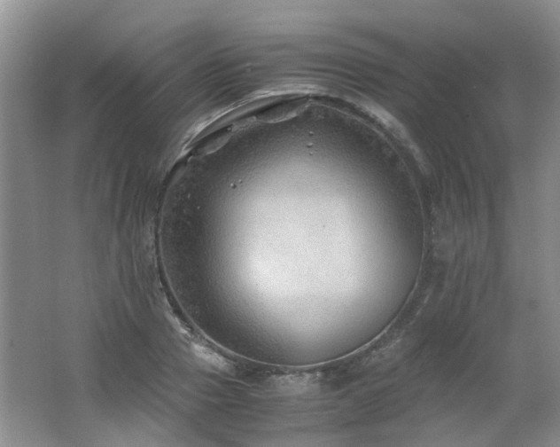 X0000062650937200512211227