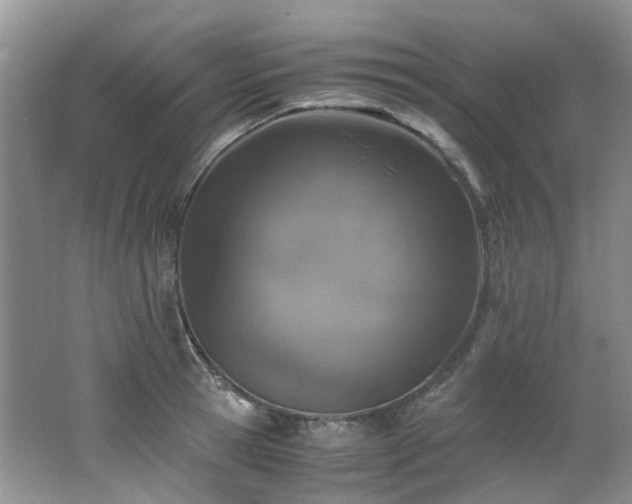 X0000062650945200512211227