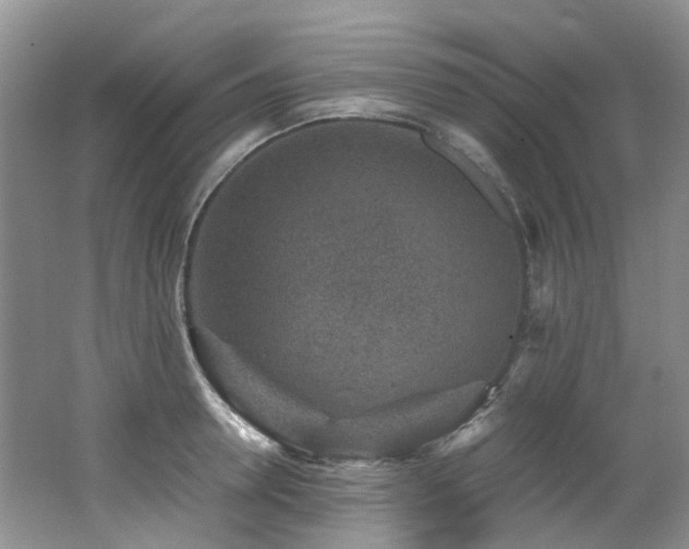 X0000062650946200512211227