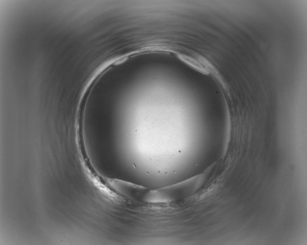 X0000062650955200512211228