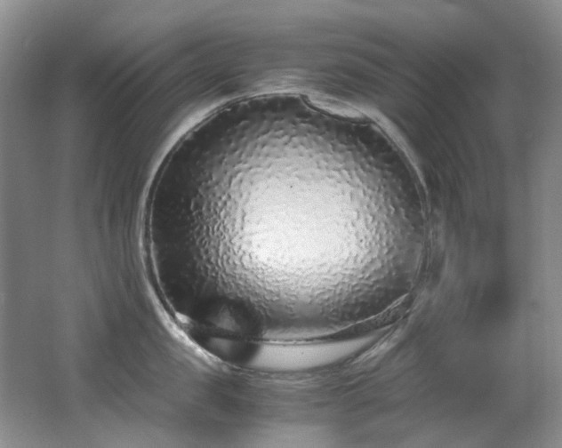 X0000062650957200512211228
