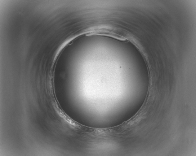 X0000062650960200512211228