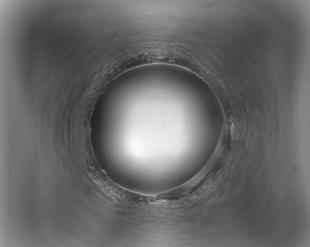 X0000062650961200512211227