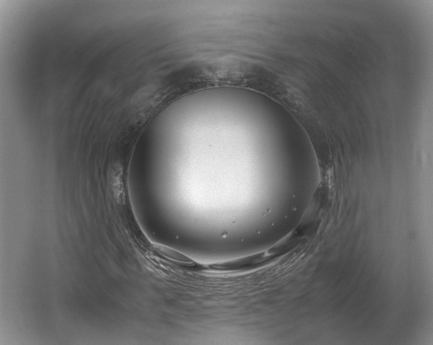 X0000062650963200512211227