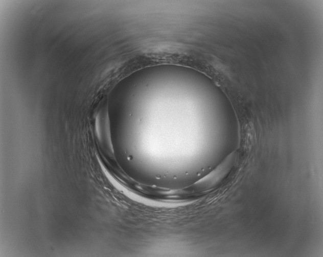 X0000062650965200512211227