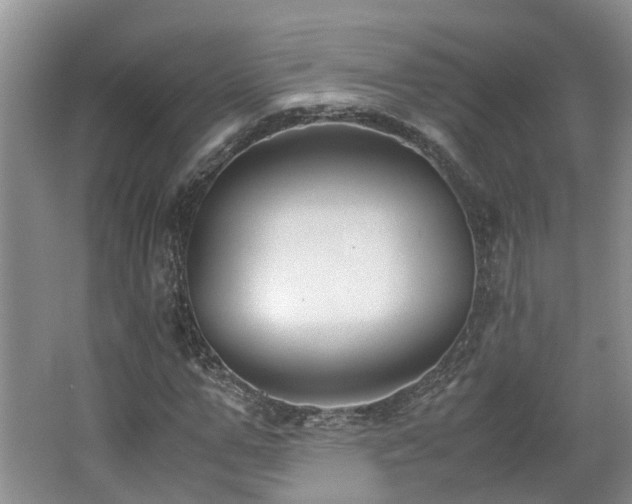 X0000062650967200512211227