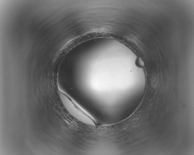 X0000062650968200512211227