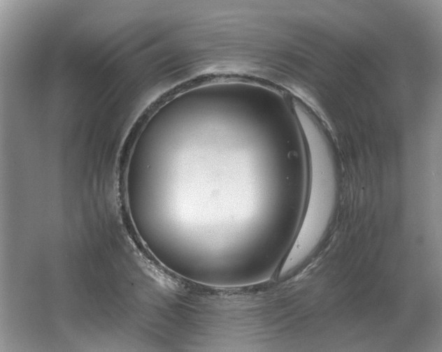 X0000062650976200512211227