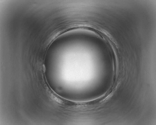 X0000062650985200512211226
