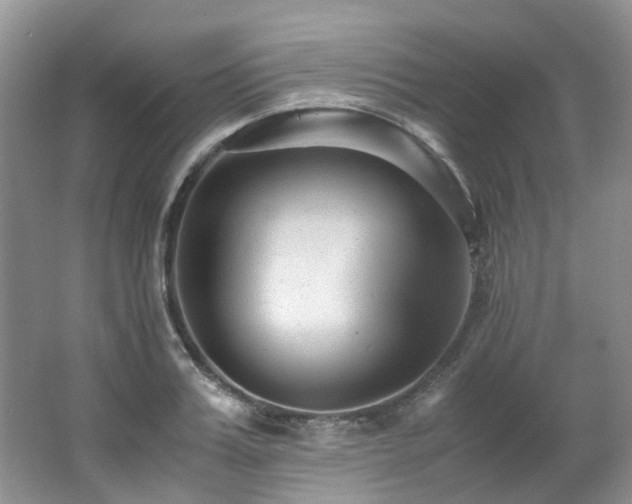 X0000062650987200512211226