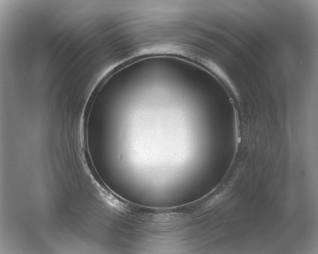X0000062650988200512211226
