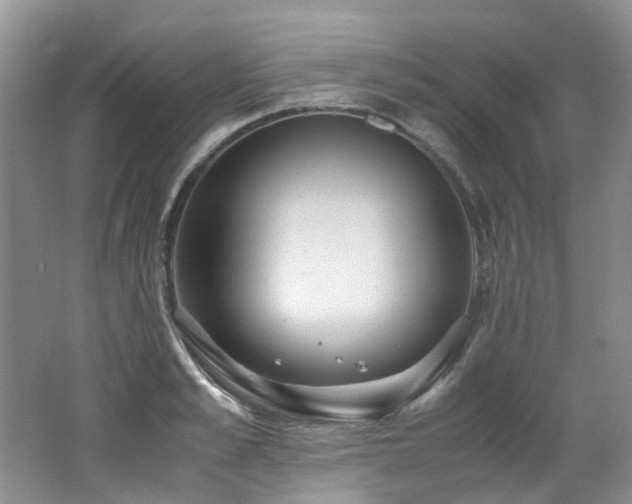 X0000062650989200512211226