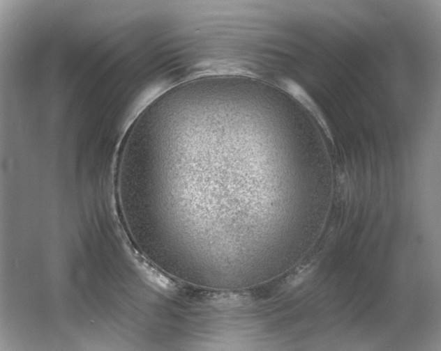 X0000062651002200512211226