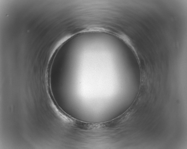 X0000062651003200512211226