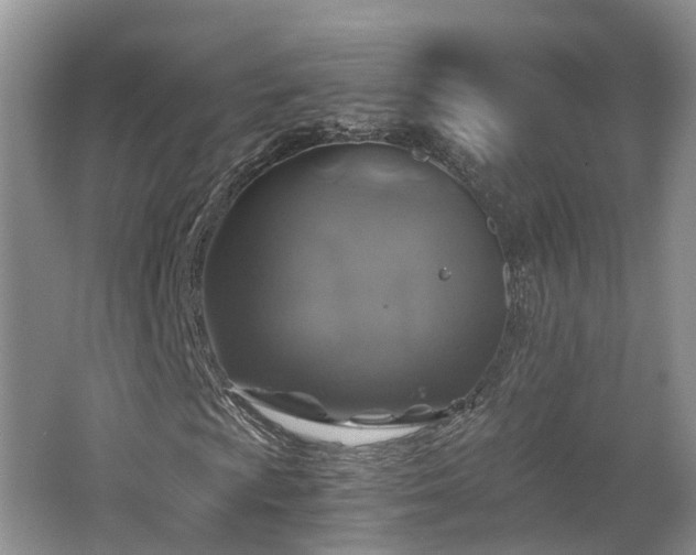X0000062651009200512211225