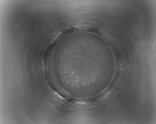 X0000062651010200512211225